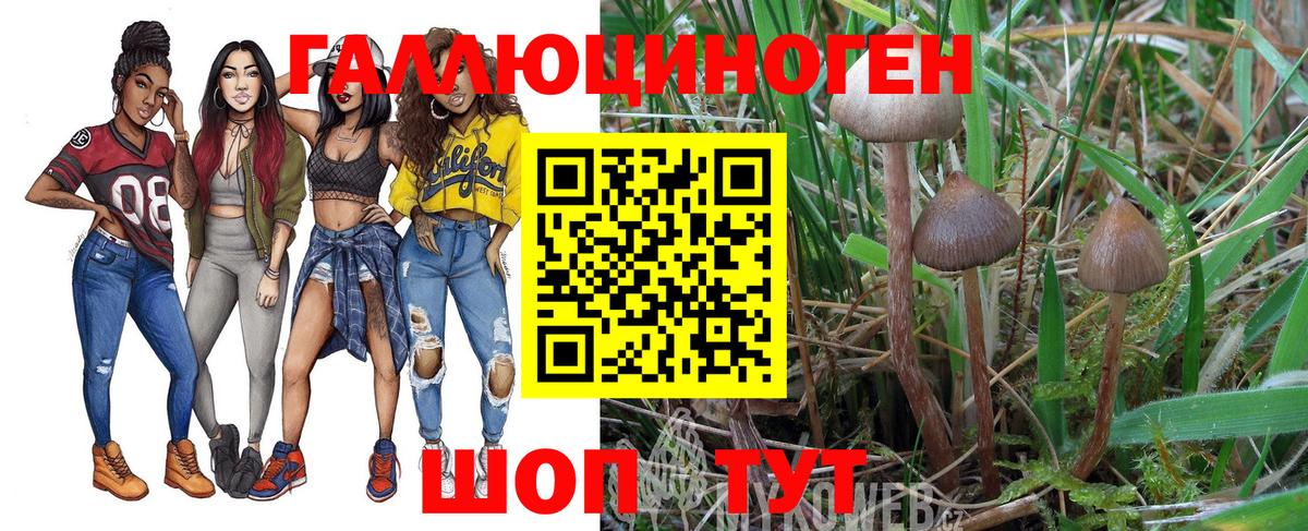 Псилоцибиновые грибы MAGIC MUSHROOMS  Псилоцибиновые грибы ЛСД  купить закладку  Воскресенск  Вход с VPN 