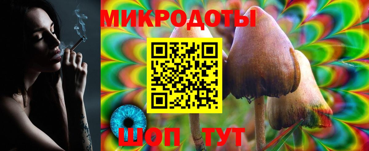 Псилоцибиновые грибы Psilocybine cubensis Воскресенск